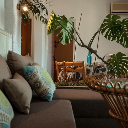 Paradise View Apartment PalaiónTsiflíkion Exteriör bild